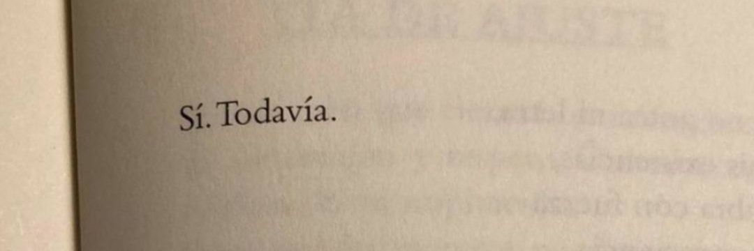 Rocío Portero banner