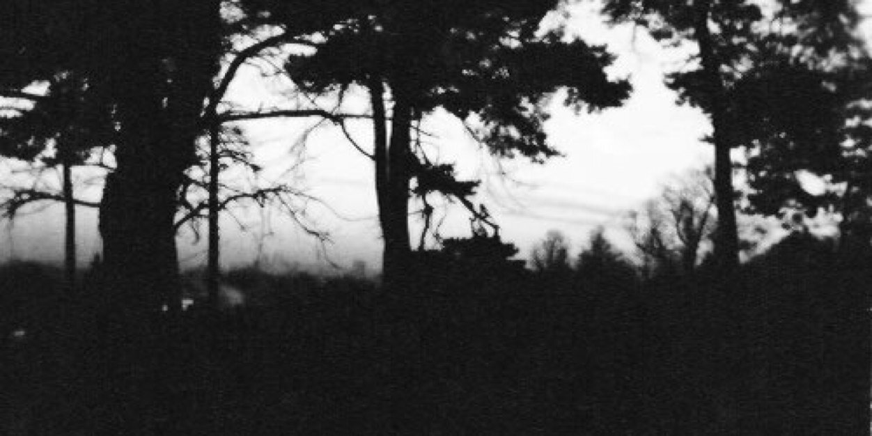 beaubalgdr's profile banner image