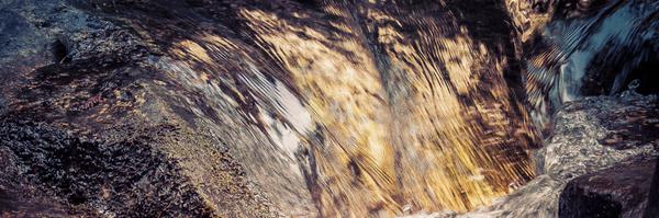 tovbinm Profile Banner