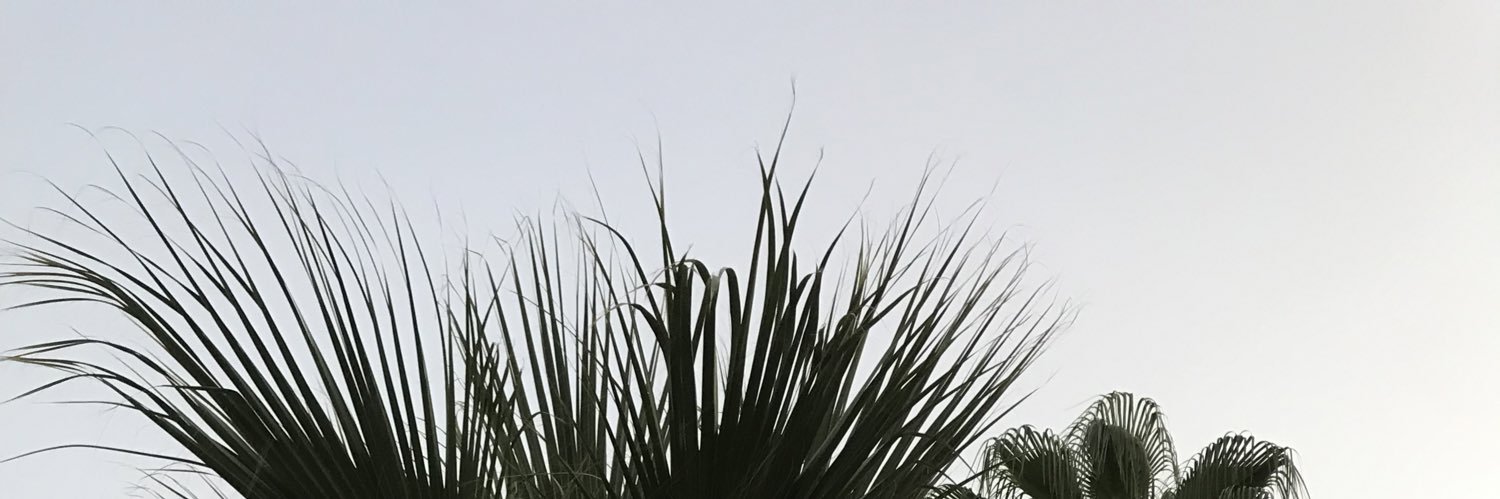 Alva Ek banner