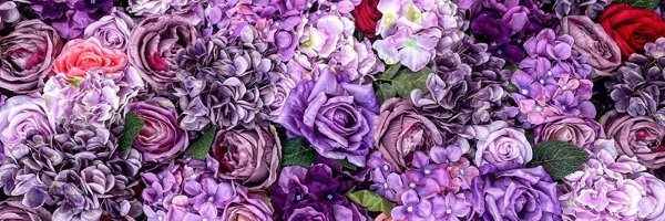jingiea's profile banner image