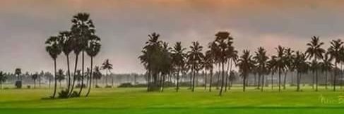 snjvkumar386's profile banner image