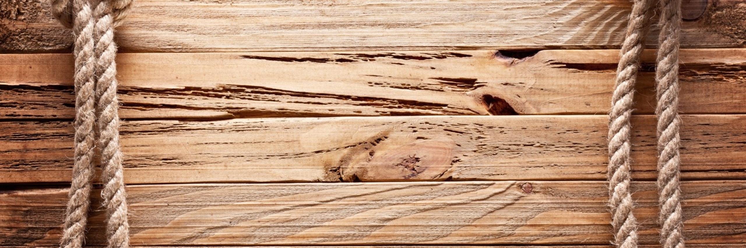 TheUrbanArk's profile banner image