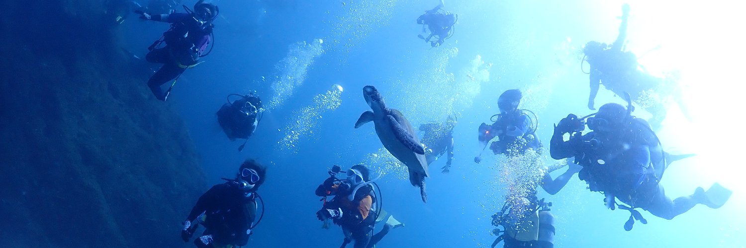 divingbeyond's profile banner image