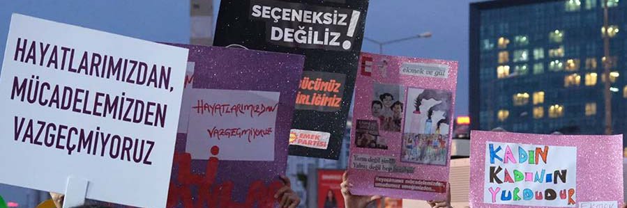 songularg's profile banner image
