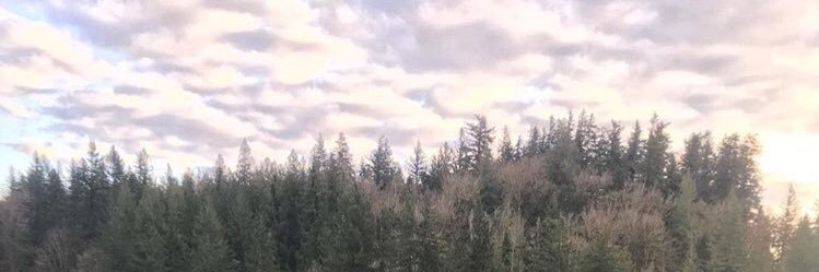 mollyygray's profile banner image
