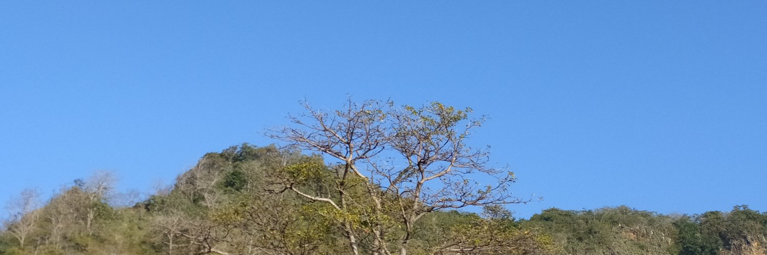 Limuluss's profile banner image