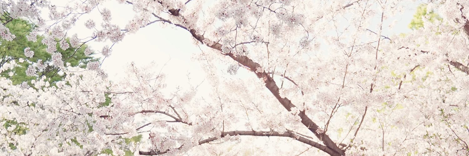 ta_2_49_ocd's profile banner image