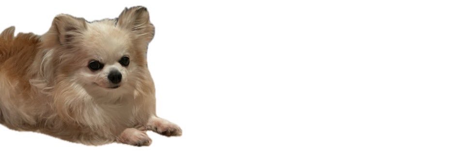 sagachany's profile banner image