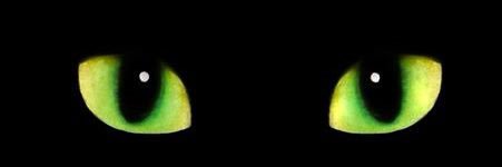 りーだー👁 banner