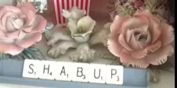 SHABUP banner