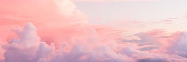Stefania Quimi banner
