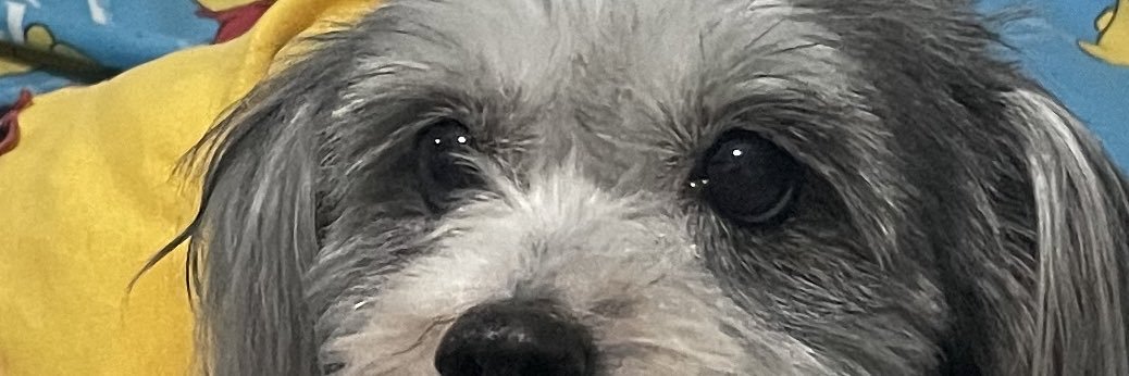 Junnice_'s profile banner image