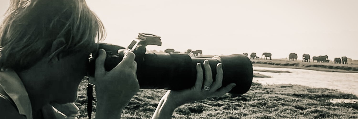 Denise Wiese Photography's banner