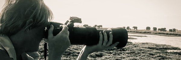 denisew428 Profile Banner