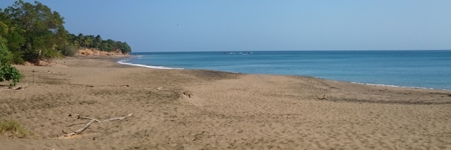 Ivaneth González G. banner