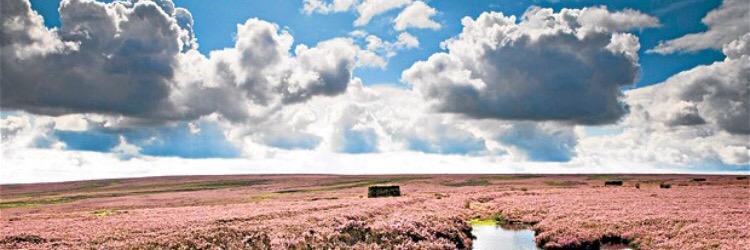 Jonnyquango79's profile banner image