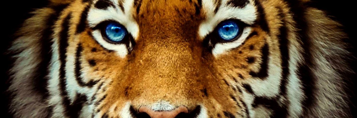 JuliusLK_'s profile banner image