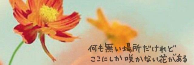 3710TS's profile banner image
