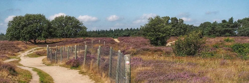 Barbara de Reijke banner