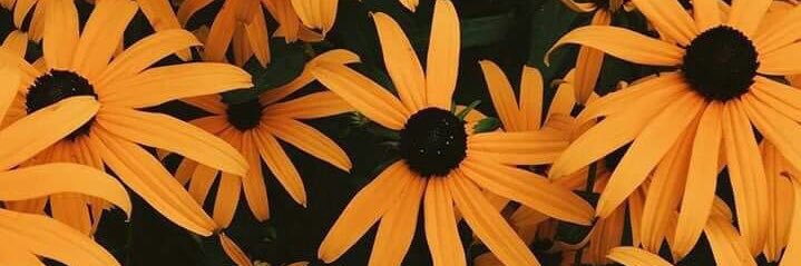 Naza®et🦋 banner