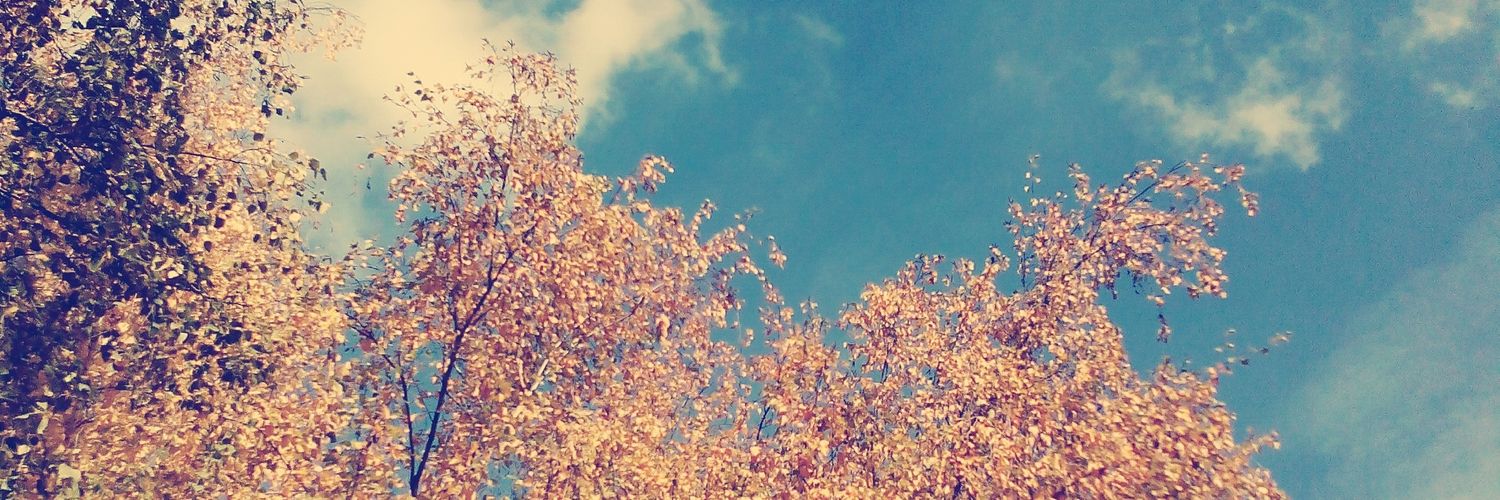 kar__27's profile banner image