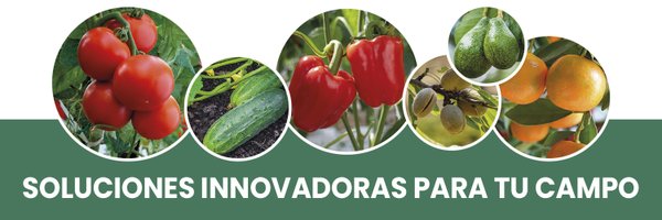 QMeristem Profile Banner