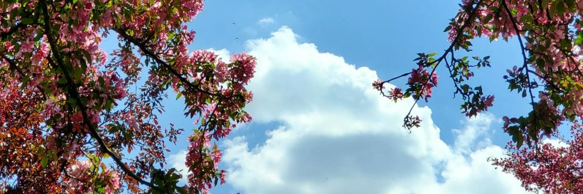 Kayla Dadgar MD banner