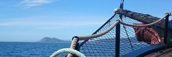 Bluscus Profile Banner