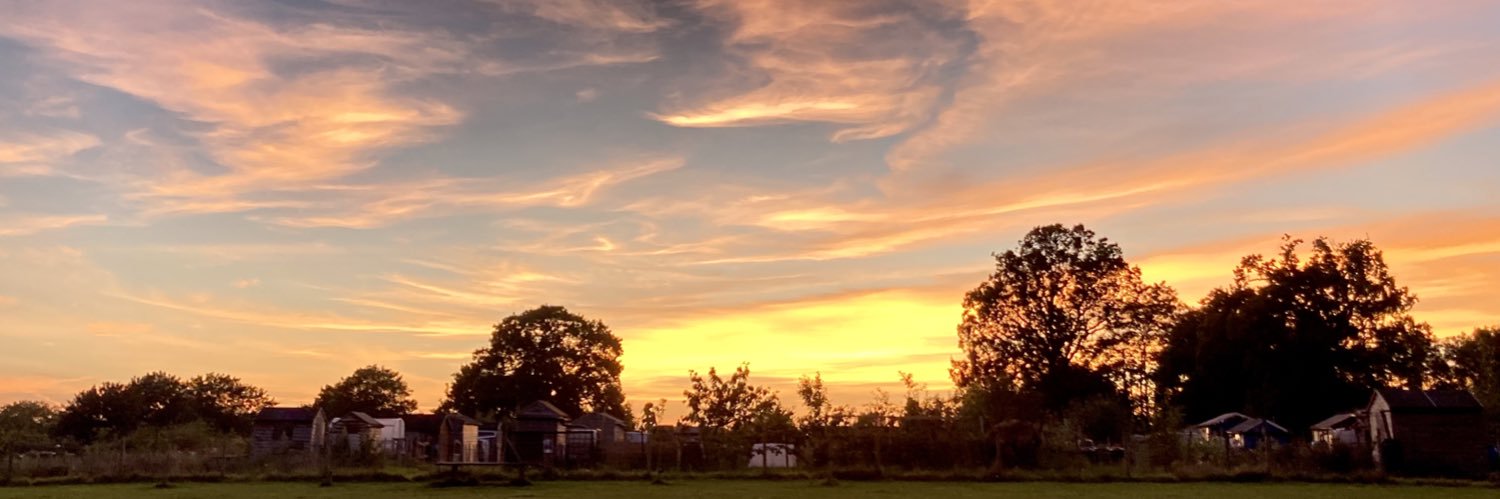 Jon Lewis banner