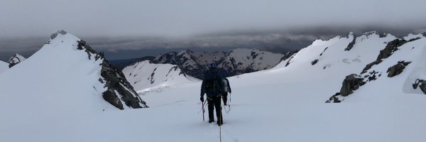 peck Profile Banner