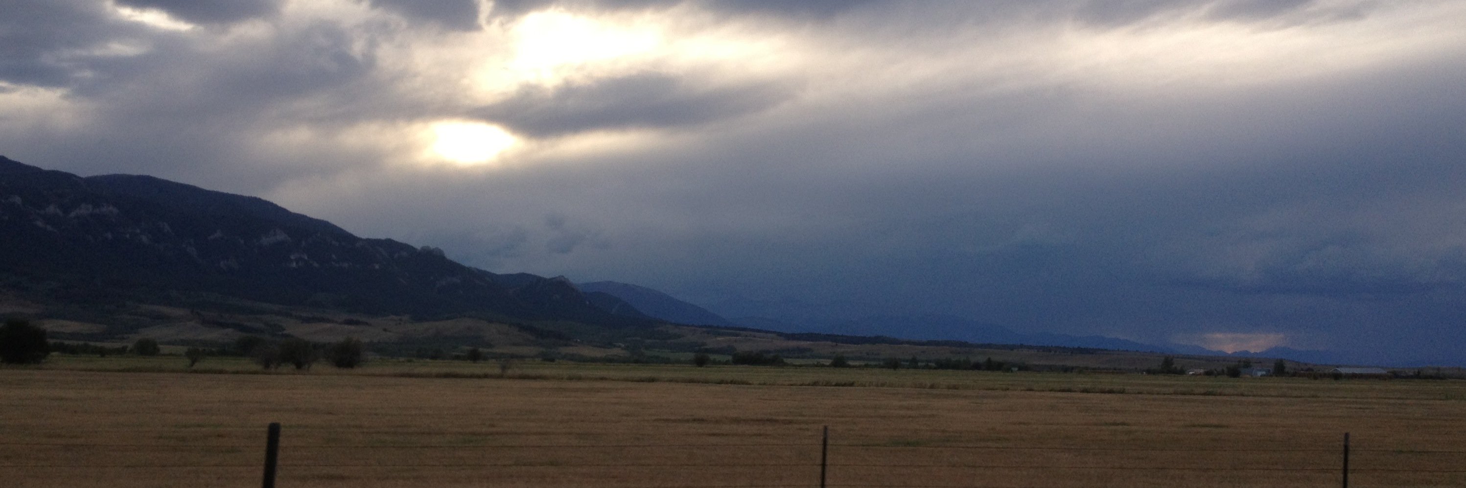 Savana banner
