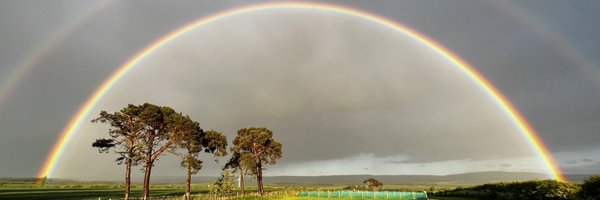 kevverage Profile Banner