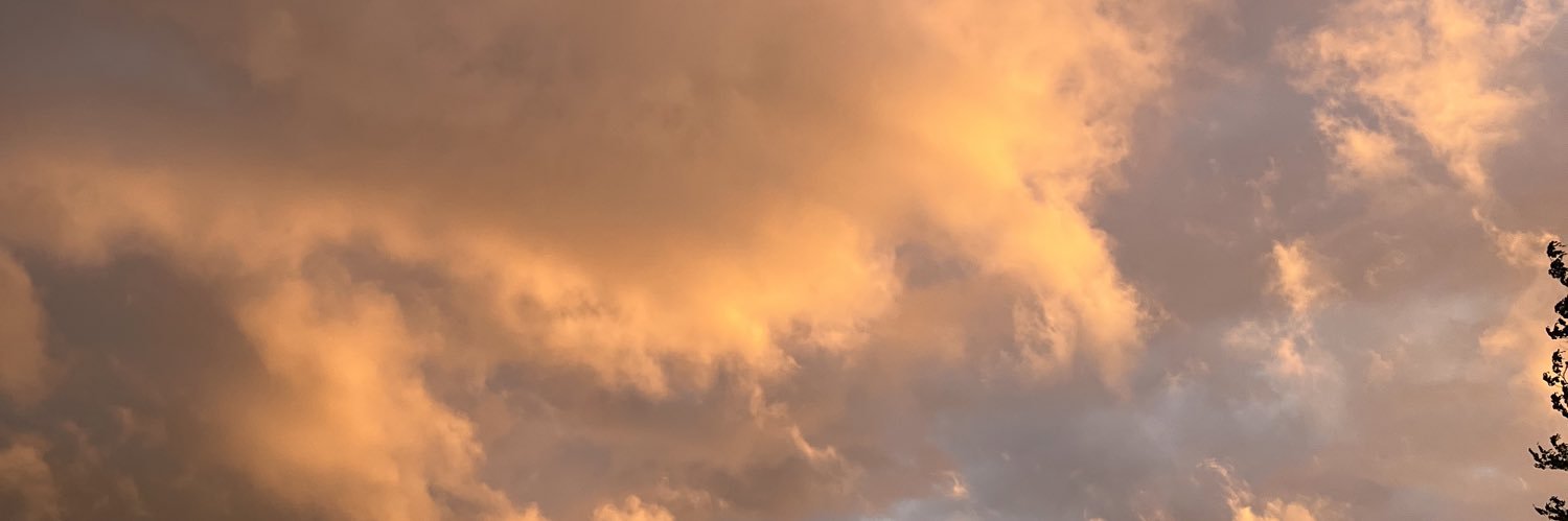 cat_phillips_'s profile banner image
