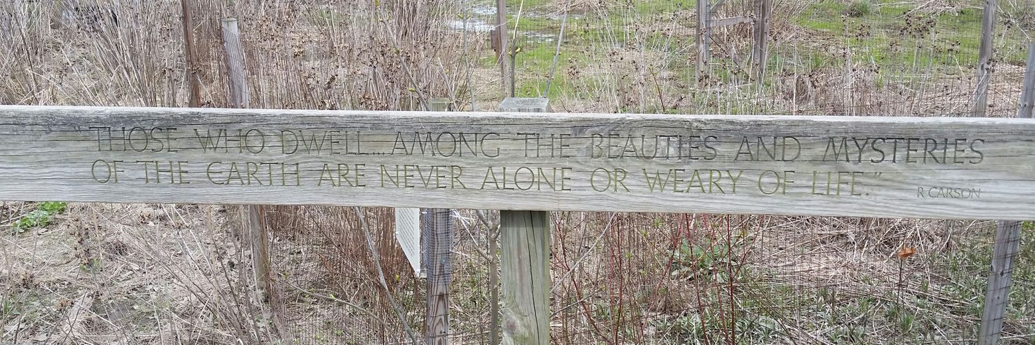 Perrie O'TierneyGinn banner