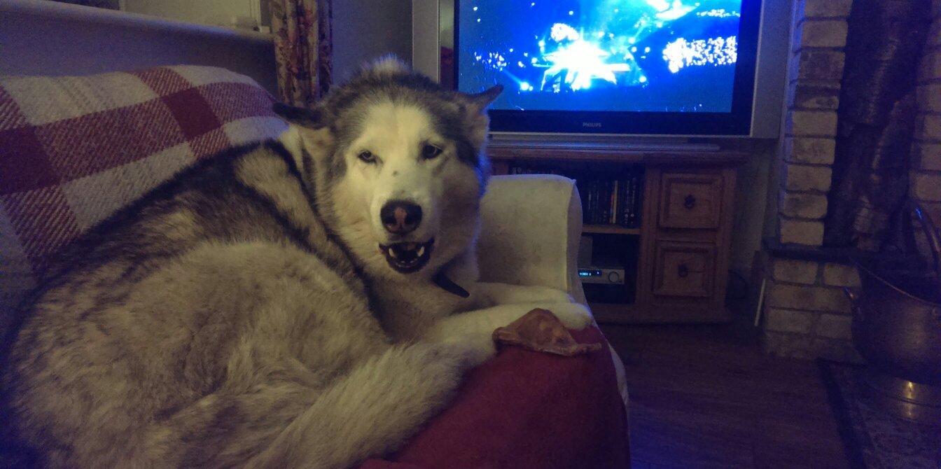 Ger Dunphy Snooker banner