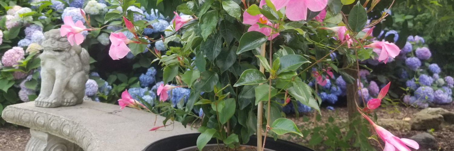 dianegaudaur's profile banner image