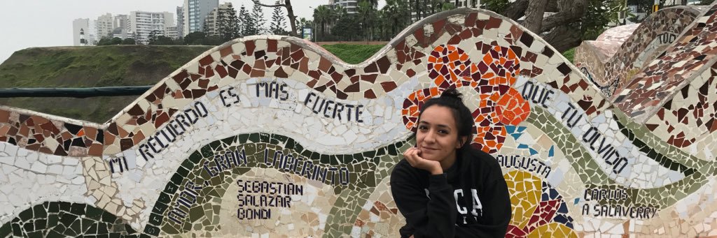 Voeta's profile banner image