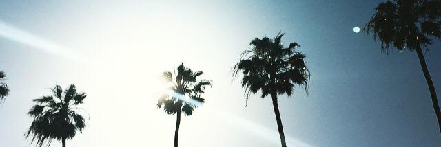 megmorrisss's profile banner image