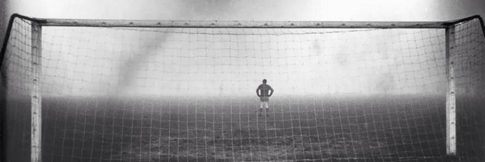 luscavino's profile banner image