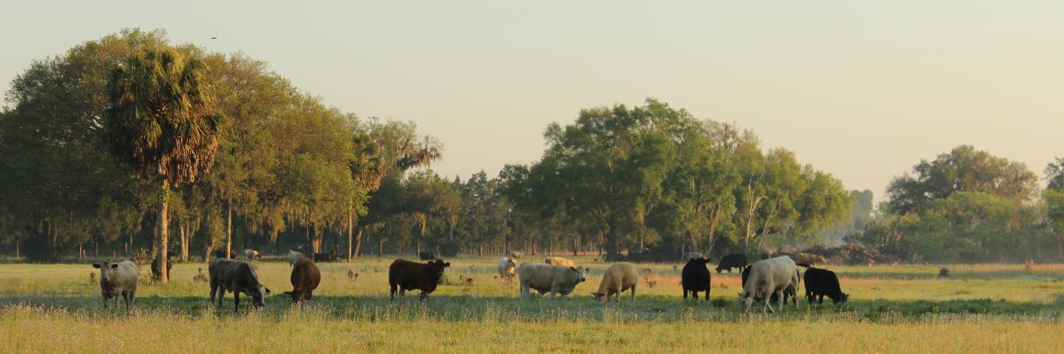 Florida Cattlemen banner