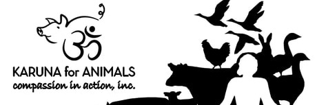 Karuna4Animals's profile banner image