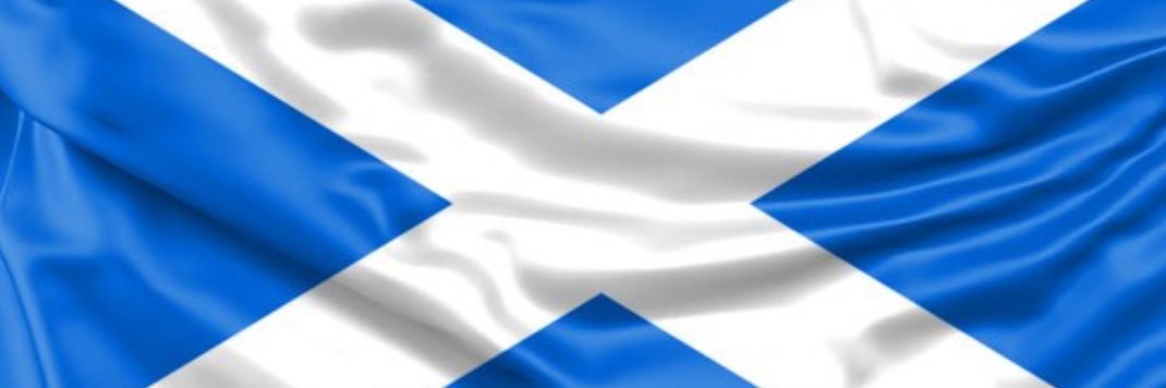 Lainey banner