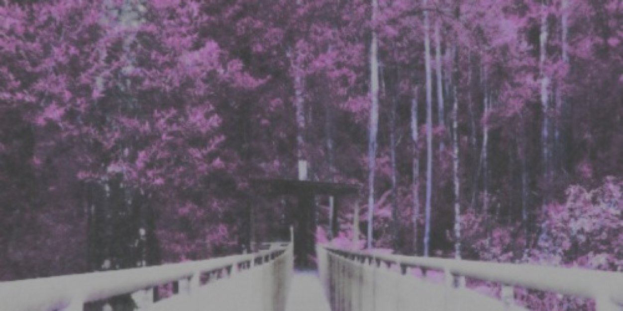 RedDePalvin's profile banner image
