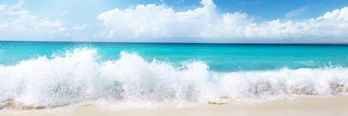 CAITYstjohn's profile banner image