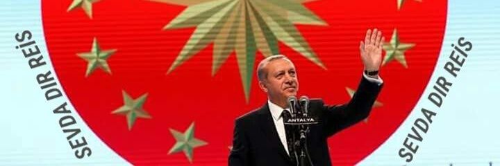 SeSefure's profile banner image