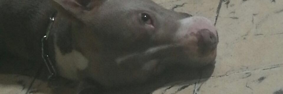 huertas0910's profile banner image