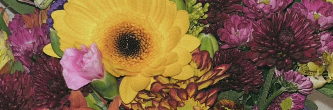 alyssaBice's profile banner image
