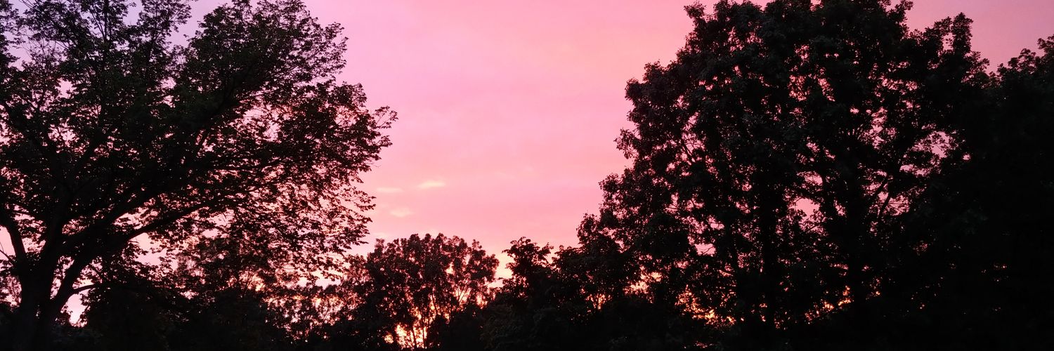 DoctorSkilliams's profile banner image