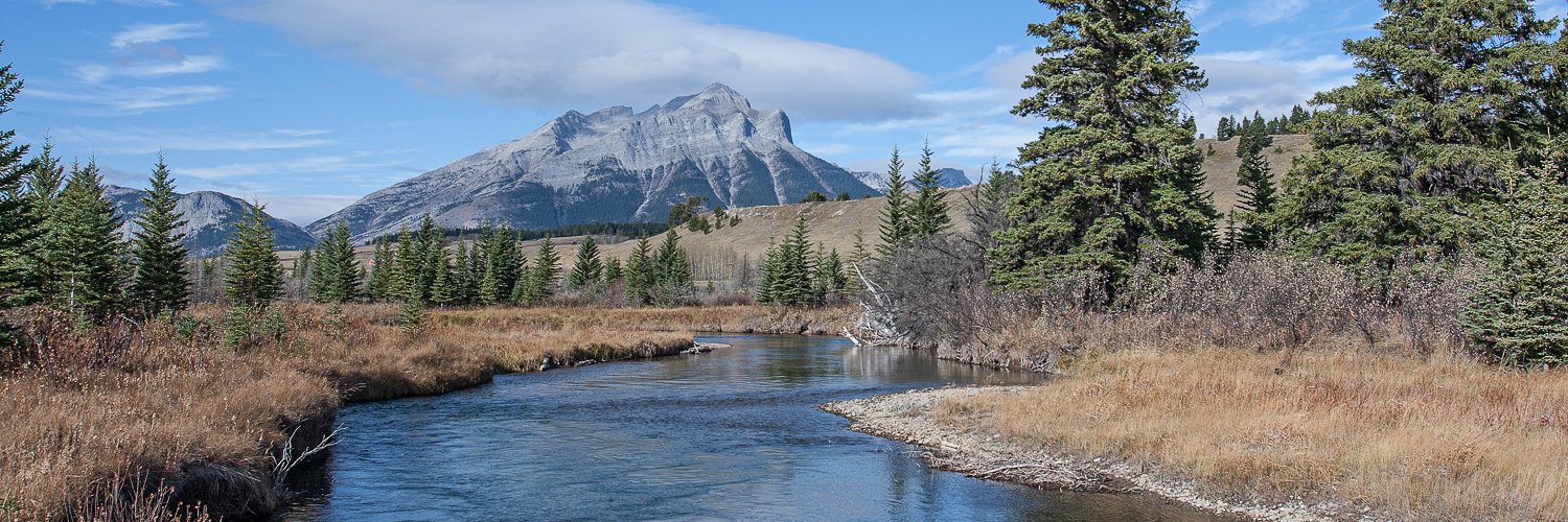 CommunityFuturesCNP banner